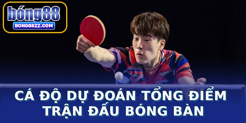 Cá độ dự đoán tổng điểm trận đấu bóng bàn