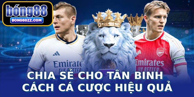 Chia sẻ cho tân binh cách cá cược hiệu quả